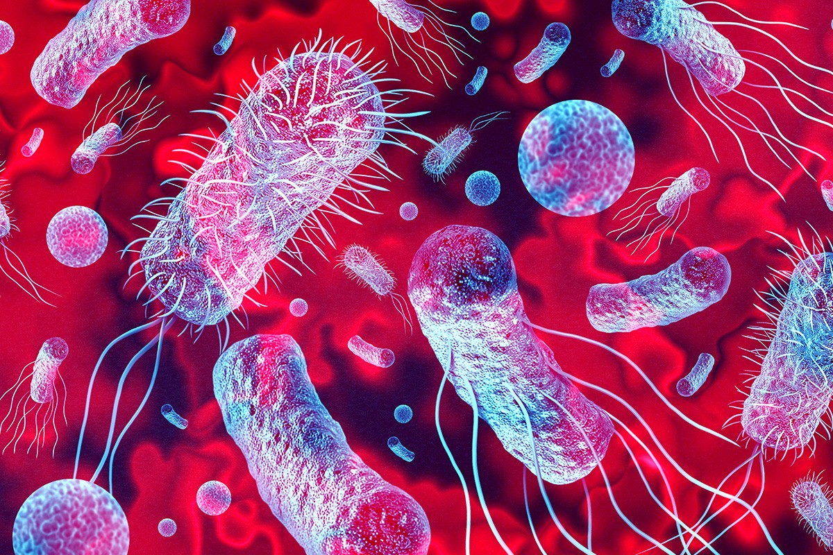 The 10 Most Common Bacteria in Everyday Environments