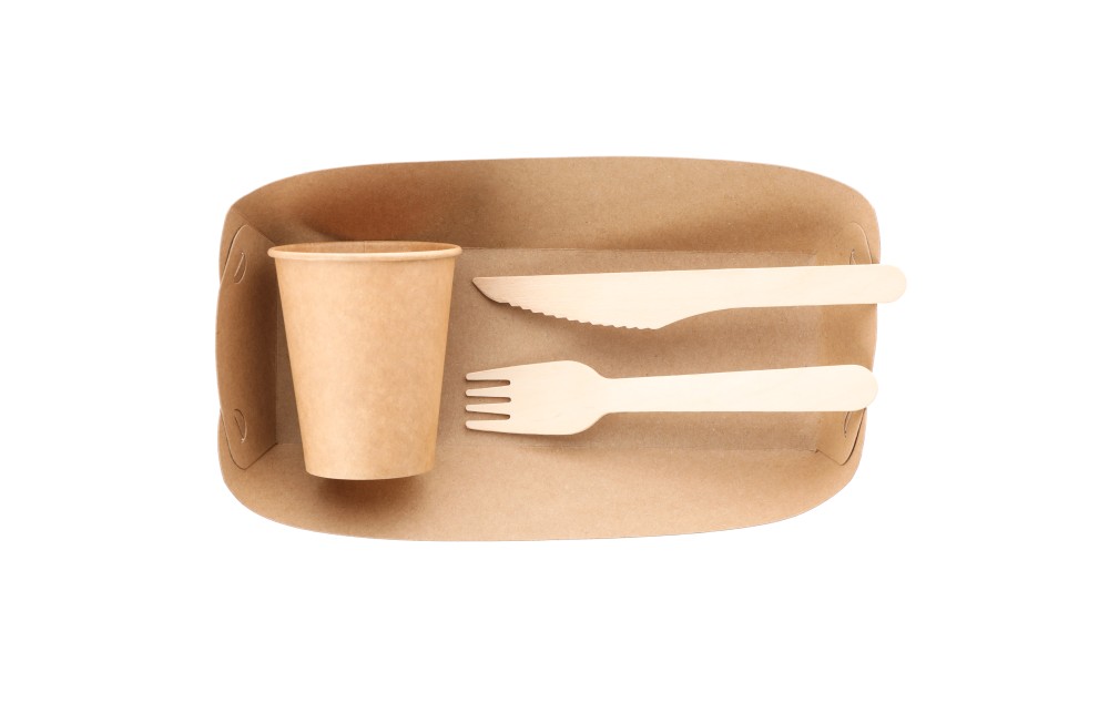 eco-friendly-food-container-fork-knife-and-cup-2023-11-27-05-30-12-utc.jpg
