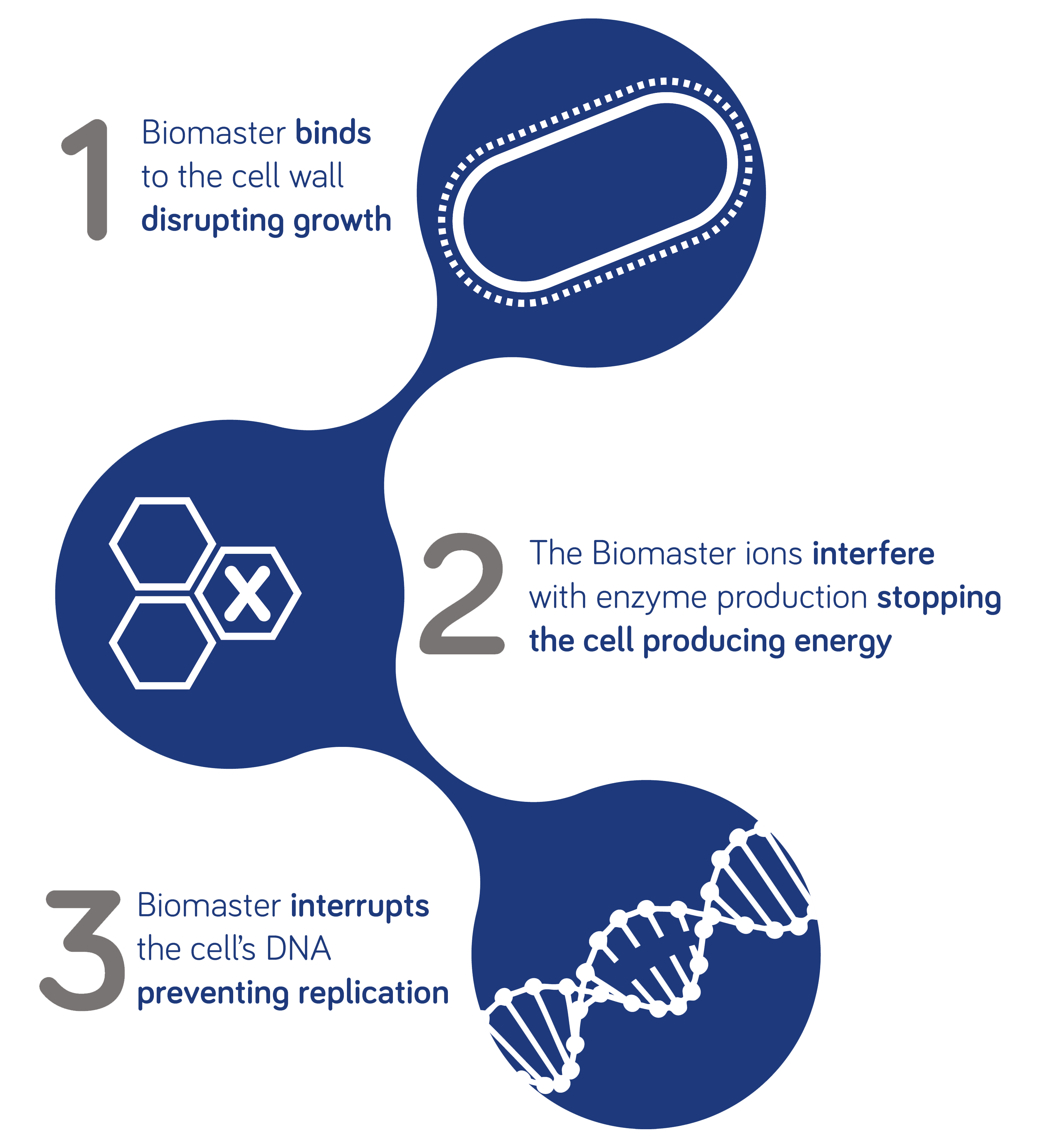 How does Biomaster work?