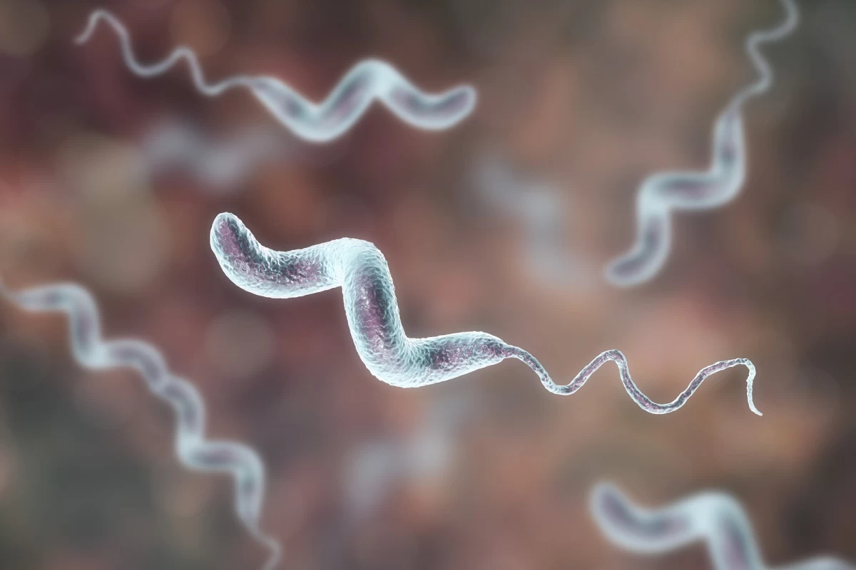 BBC's Countryfile Highlights Dangers of Campylobacter
